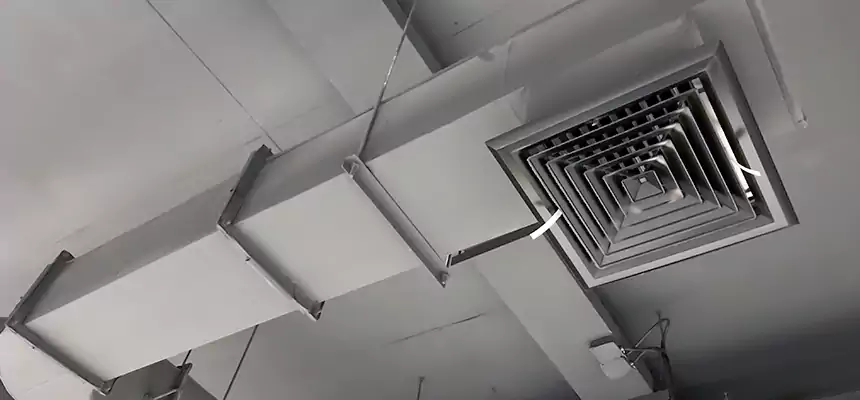 Our Pest Removal From Ducts Services in Beloit, WI