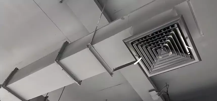 Our Rodent Droppings In Vents Services in Beloit, WI