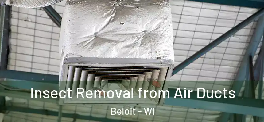  Insect Removal from Air Ducts Beloit - WI