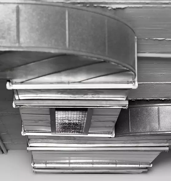 Professional Air Duct Pest Removal in Beloit, WI