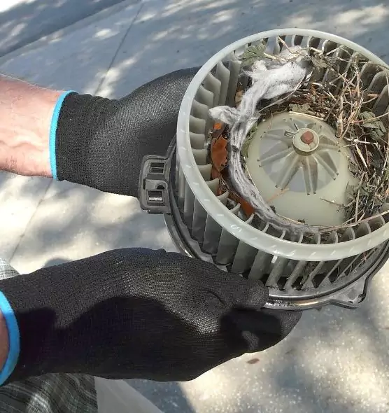 About Air Duct Rat Removal in Beloit, WI