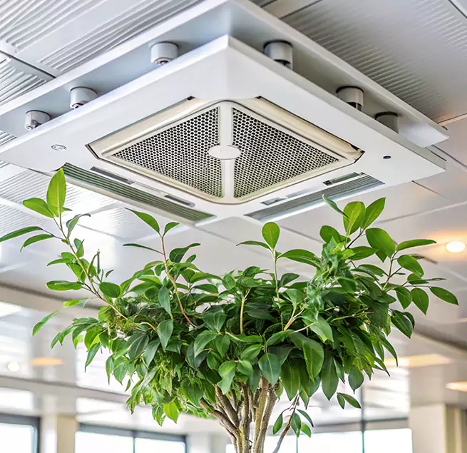 Why Homeowners & Businesses Trust Us in Beloit, WI?